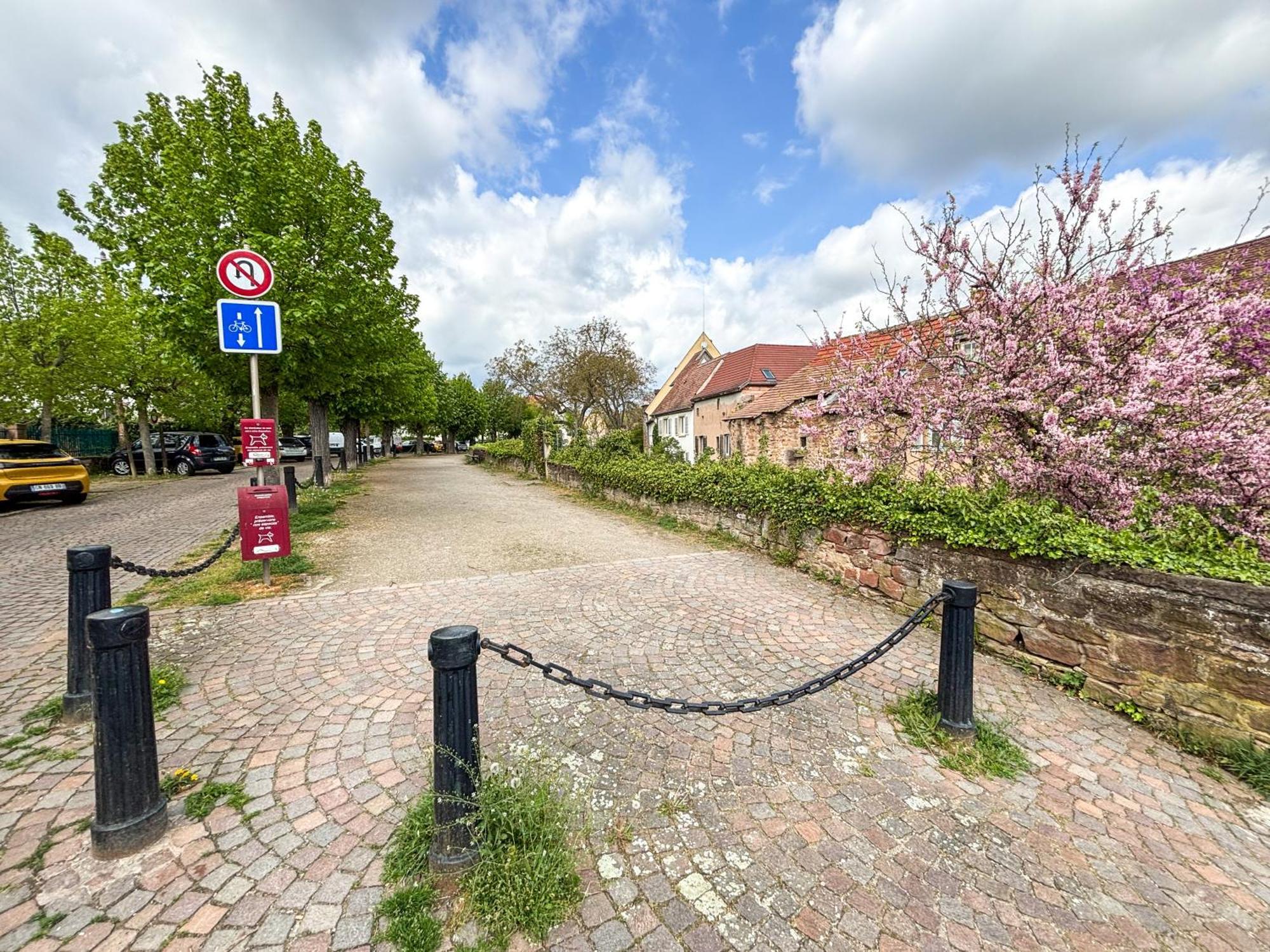 אוברנאי Le Pavillon Des Remparts - Commerces A Proximite - Centre-Ville - Appartement Cosy מראה חיצוני תמונה